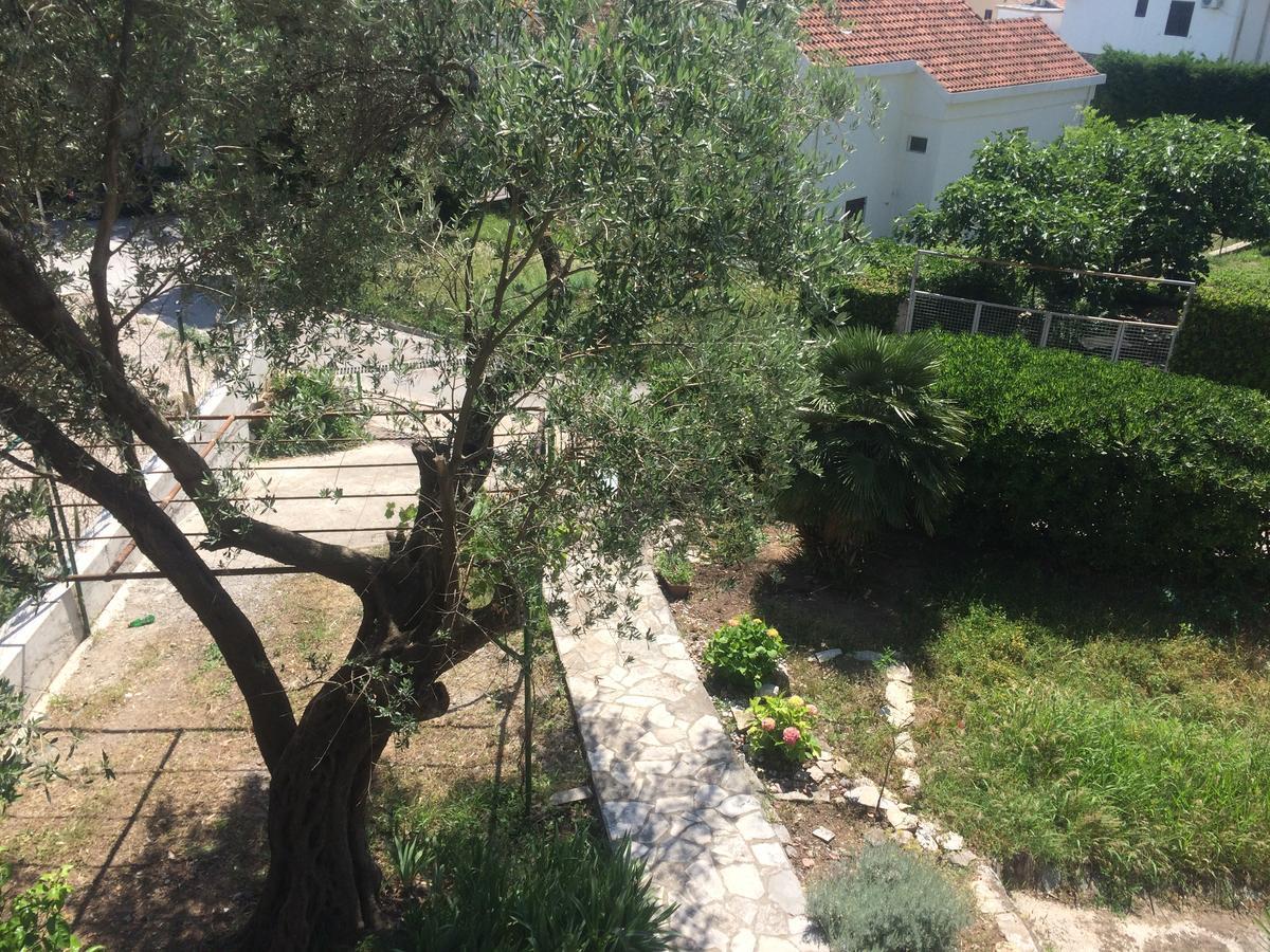 Apartments Mrvaljevic Petrovac Extérieur photo