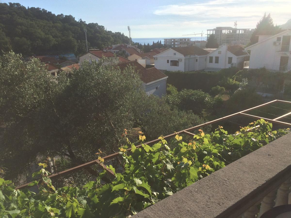 Apartments Mrvaljevic Petrovac Extérieur photo