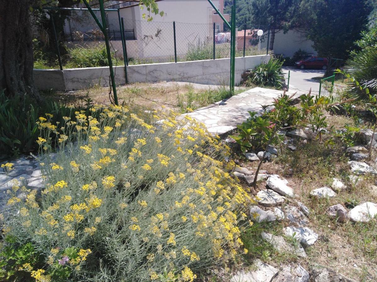 Apartments Mrvaljevic Petrovac Extérieur photo