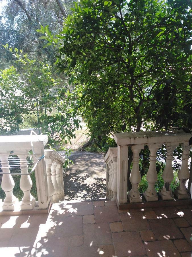 Apartments Mrvaljevic Petrovac Extérieur photo